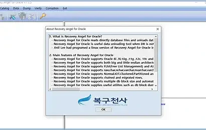 Oracle 11.2.0.4 데이터베이스 복구 사례