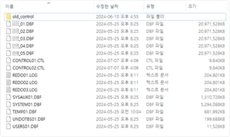 복구 대상 Oracle DB 파일 목록