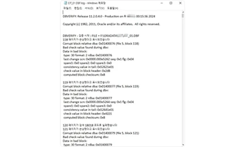 dbv CIT_01.DBF 블록 손상 조사