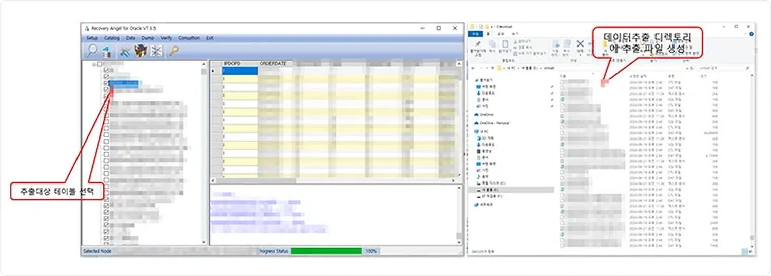 데이터 추출 및 sqlldr control 파일 생성