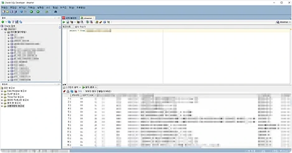 Oracle DB import 후 데이터 검증 화면