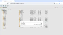 ds923plus_delete_report