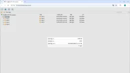 iptime-nas4dual-share-folder-recovery-report