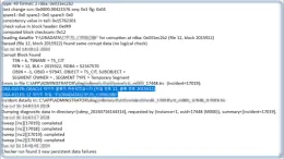 ora-01578_error-recovery-txt