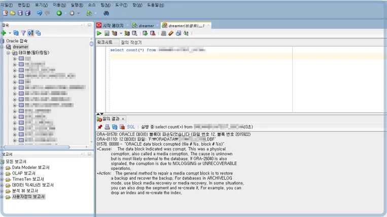 DB open (ORA-01110)
테이블 세그먼트 헤더 블록 손상
오라클 복구 성공