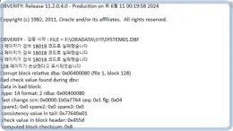 oracle-11.2.0.420-recovery__1_