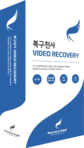 VIDEO RECOVERY