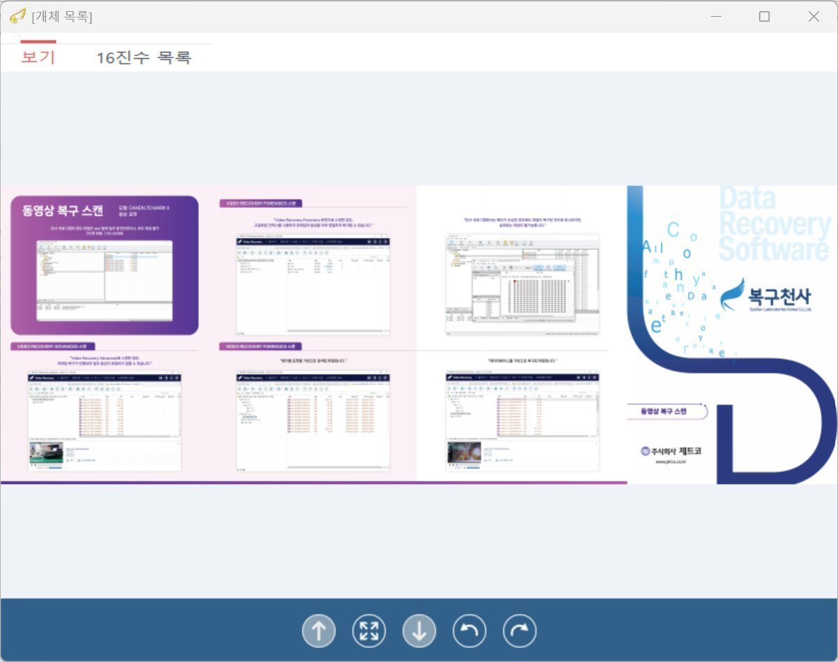 복구천사 PRO 데이터 검증 - PDF 문서 미리보기 모든 페이지 정상 표시 (Data Recovery Software 동영상 복구 카탈로그 PDF, 페이지 이동·확대 가능)